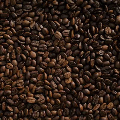 Roasted coffee beans