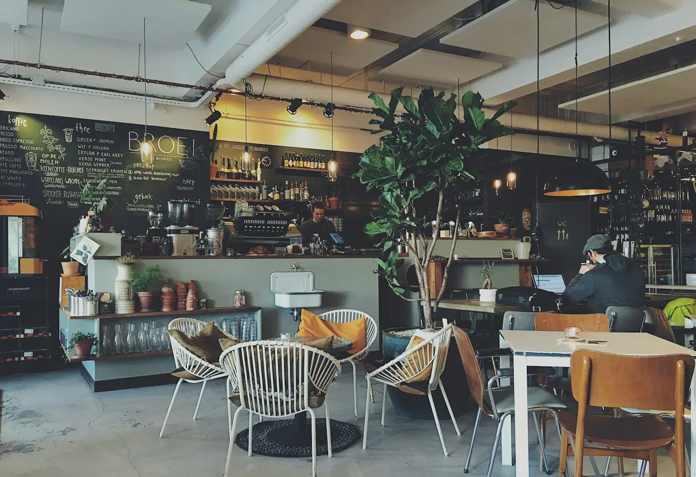 Light-filled cafe interior with tables and plants